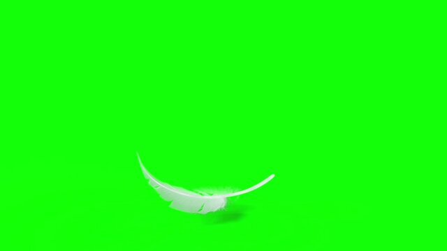 Falling Feather element with Chroma Key and Alpha Channel mask in 4K slow motion