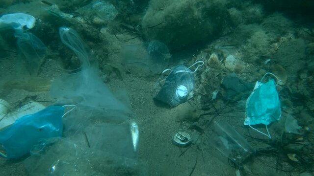 Dead Greater weever fish (Trachinus draco) hitting trapped in plastic bag lies inside plastic bag on the seabed among the medical face mask, plastic and other garbage. Plastic pollution of Ocean.  