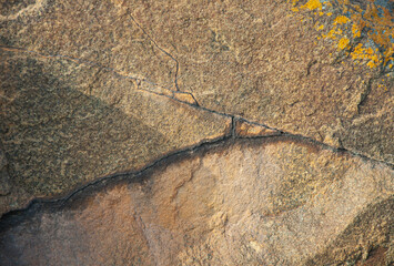Closeup shot of a textured rock surface