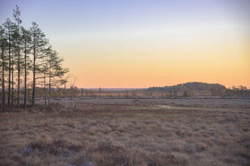 Sunrise in the swamp