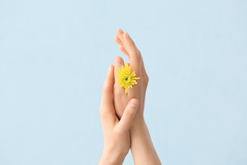 Female hands with spring flower on color background