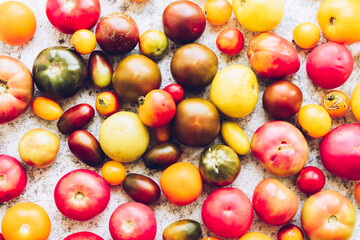 Various colorful tomatoes on a table
