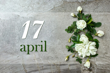 April 17th. Day 17 of month, Calendar date. Stylish roses flat lay. White roses border on pastel...