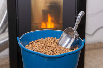 Fuel for pellet stove (biomass).