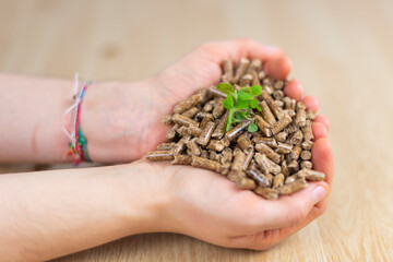 Fuel for pellet stove (biomass).