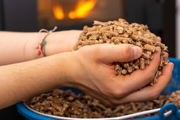 Fuel for pellet stove (biomass).