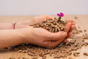 Fuel for pellet stove (biomass).