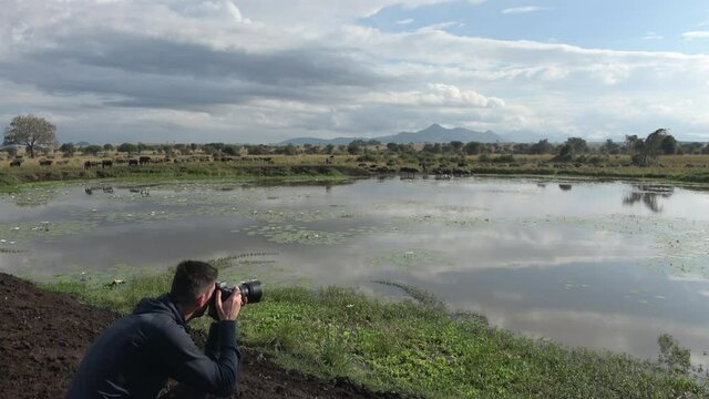 Photographer photographing a panoramic view of a big buffalo herd that's walking past a lake in Kidepo valley national park in Uganda. 