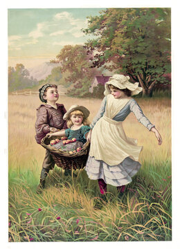 Children outdoor in a idilliac countryside context carrying peaches and baby girl in a large basket. Highly detailed vintage style color illustration by unknown author, U.S., 1850