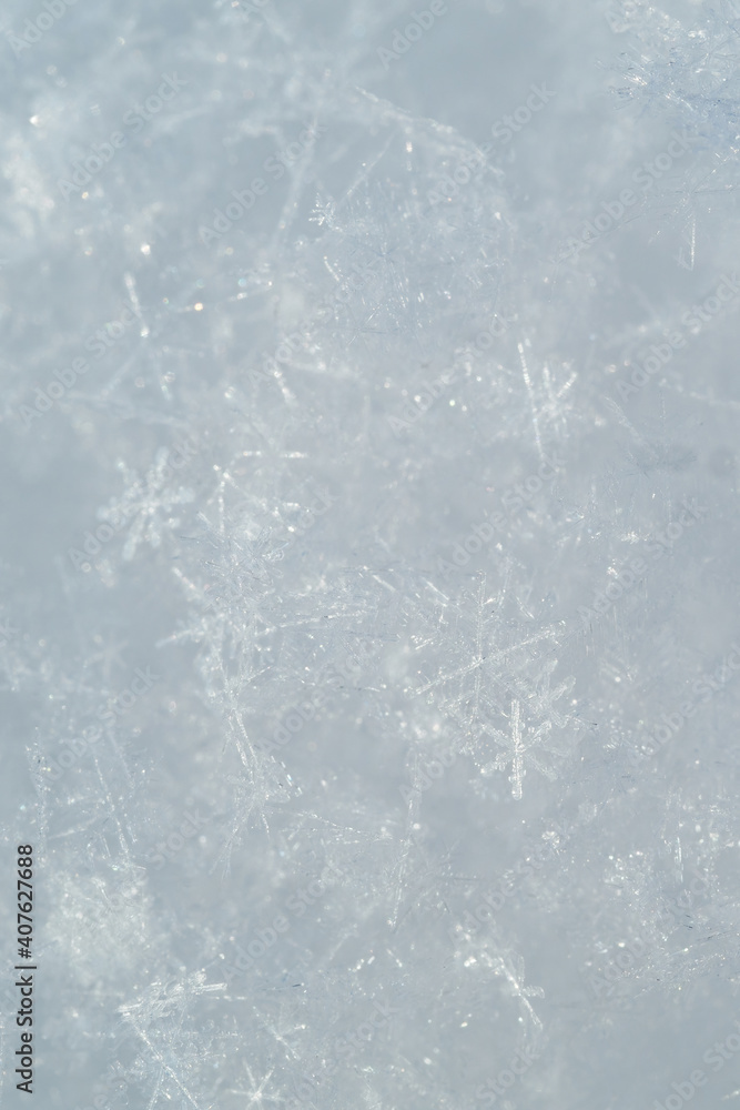 Wall mural detail of snowflakes in winter.