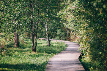 Wooden footbridge. Trees with green leaves on a sunny autumn day.