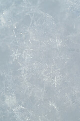 Detail of snowflakes in winter.