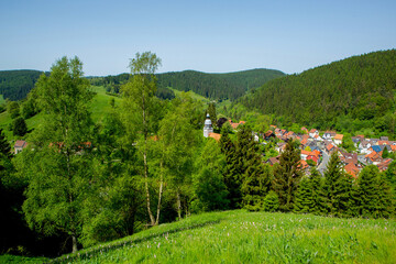 Niedersachen, Harz. Wildemann. Aussichtspunkt Drei Birken.