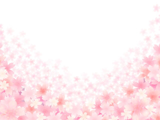 咲き誇る満開桜　白背景