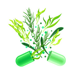 Open Hard-shelled Capsule with Spirulina and Seaweed as Vitamins and Supplement Vector Illustration