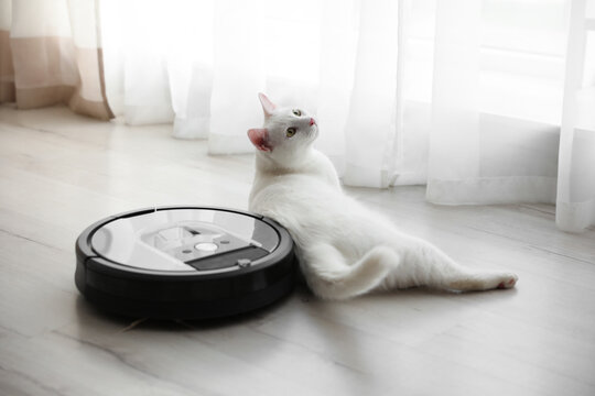 Modern robotic vacuum cleaner and cute cat on floor indoors