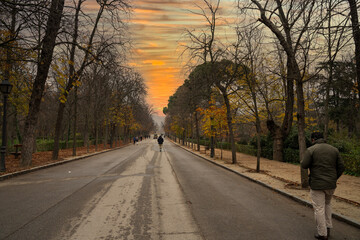 Parque de El Retiro de Madrid