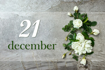 December 21st . Day 21 of month, Calendar date. Winter month, day of the year concept. Stylish roses flat lay. White roses border on pastel grey background with calendar date.