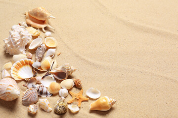 Fototapeta na wymiar Beautiful seashells and starfish on beach sand, space for text. Summer vacation