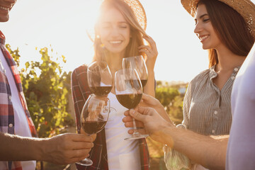 Friends clinking glasses of red wine at vineyard on sunny day, closeup