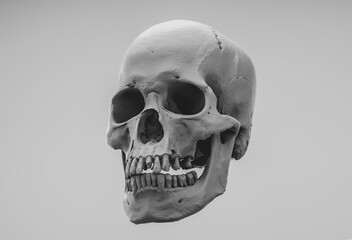 Human skull with an open lower jaw on a Dark isolated background. The concept of death, immortality, eternal life, horror. Acult symbol. Spooky Halloween symbol. 3D render
