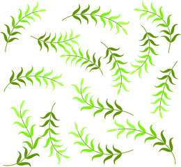 Naklejka na ściany i meble vector drawing plant flowers leaf set