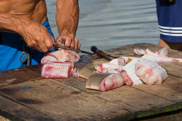 Fisherman cleaning some fish in public on the beach, on a rustic wooden table. Knife cutting a few pieces of fresh fish. Cacao and other sea fish. Typical activity of coastal fishermen. No Skin.