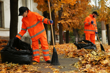 Workers cleaning street from fallen leaves on autumn day