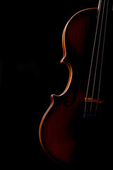 Violin music instrument closeup isolated on black