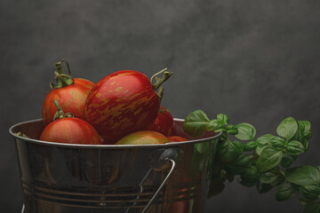 Fresh ripe tomatoes and basil herb on a wooden table. Dark background.