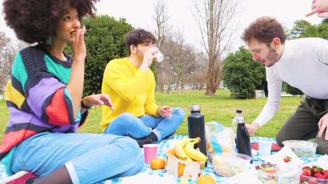 Four young students multi ethnic friends outdoor doing pic nic in a park spending time together and having fun dancing and celebrating happy moments