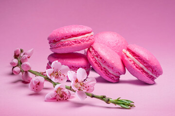 Colorful sweet macarons or macaroons, cherry flavored cookies on pink background with blooming cherry branch near them.