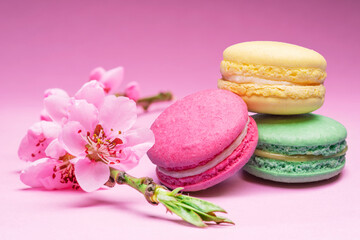 Colorful sweet macarons or macaroons, different flavored cookies on pink background with blooming cherry branch near them.