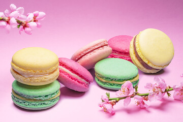 Colorful sweet macarons or macaroons, flavored cookies on pink background with blooming cherry branch near them.