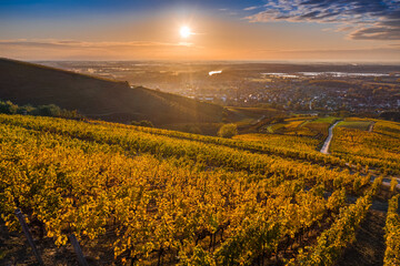 Tokaj, Hungary - Aerial view of the world famous Hungarian vineyards of Tokaj wine region with town of Tokaj and golden rising sun at background on a warm autumn morning