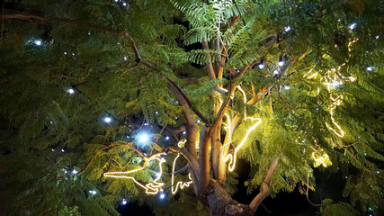 Weihnachtsbeleuchtung am Plaza de la Merced, Malaga, Spaniern
