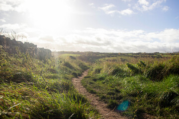 Campagne, observatoire royal d'Édimbourg, Écosse