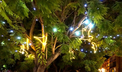 Weihnachtsbeleuchtung am Plaza de la Merced, Malaga, Spaniern