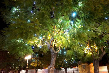 Weihnachtsbeleuchtung am Plaza de la Merced, Malaga, Spaniern