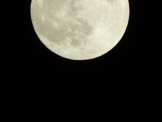 full moon in the night