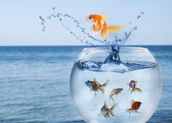 Goldfish jumping out of water and beautiful seascape on background