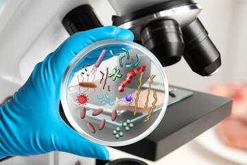 Scientist holding Petri dish with microbes, closeup. Laboratory analysis