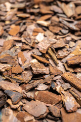 ウッドチップの写真素材