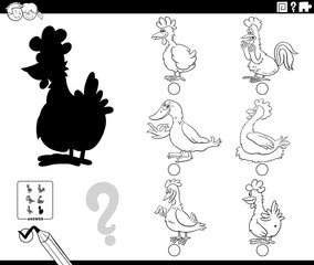 shadows game with cartoon firm birds animals coloring book page