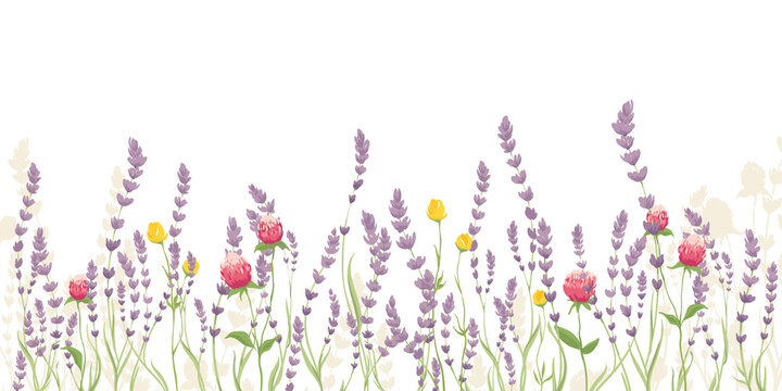 Lavender and summer flowers. Vector illustration, narrow banner with wildflowers, background for postcard