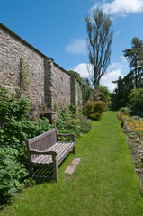 Garden bench in walled garden