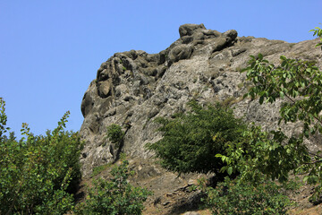 Beautiful rocks in the summer forest.