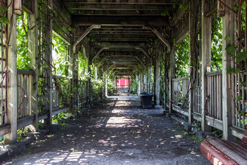 Allée végétale couverte, jardin botanique, Montréal.