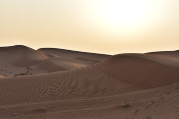 Wüste in VAE