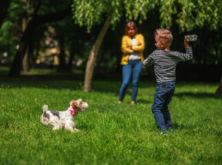 Naklejka na ściany i meble Family having fun in city summer park mother with son playing on grass with little puppy dog